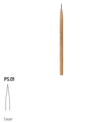 PS1 RGM
