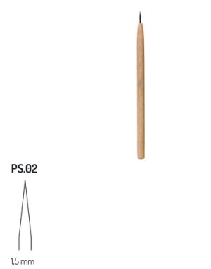 PS2 RGM