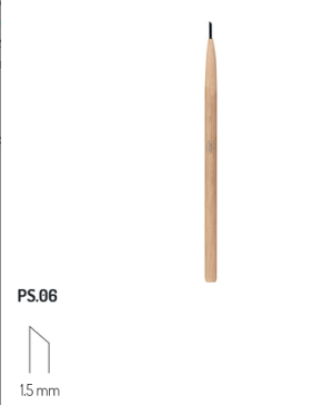 PS6 RGM