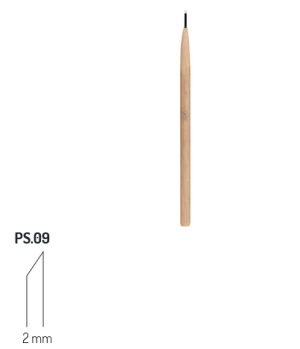 PS9 RGM