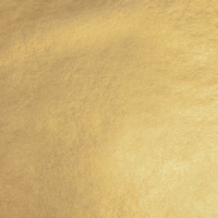 FOGLIA ORO IMITAZIONE COLORE 2,5 cm  14X14 25 FF