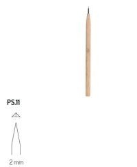 PS11 RGM