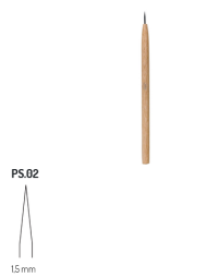 PS2 RGM