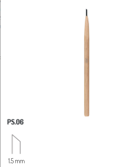 PS6 RGM